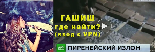 гидра Богородск