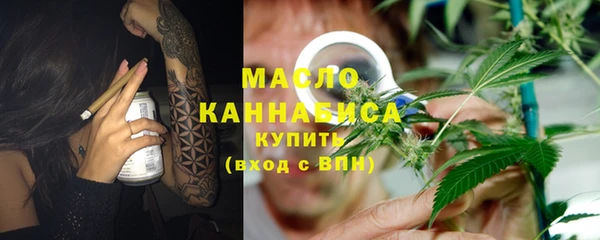 гидра Богородск
