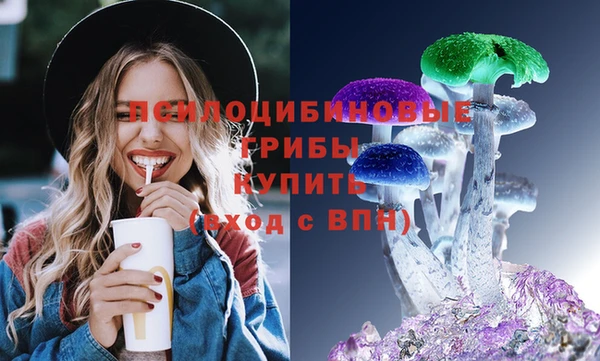 гидра Богородск
