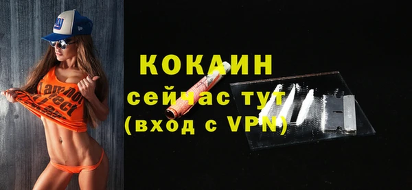 гидра Богородск