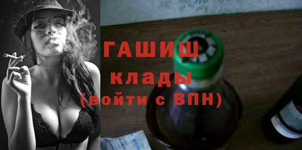 гидра Богородск