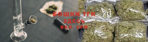 гидра Богородск