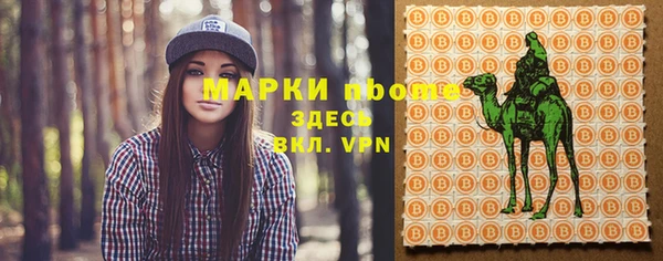 гидра Богородск