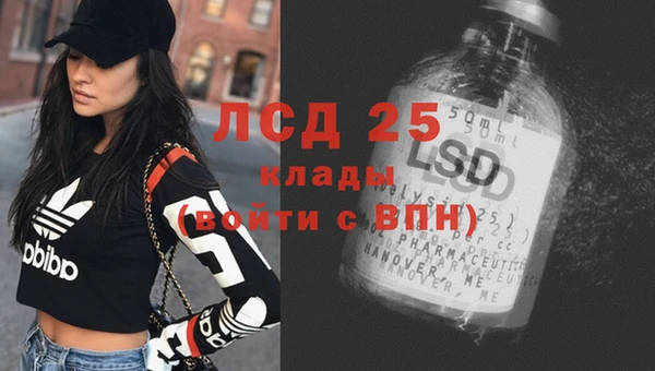 гидра Богородск