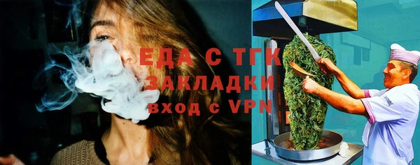 гидра Богородск