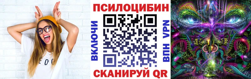 Галлюциногенные грибы Psilocybine cubensis  Называевск 